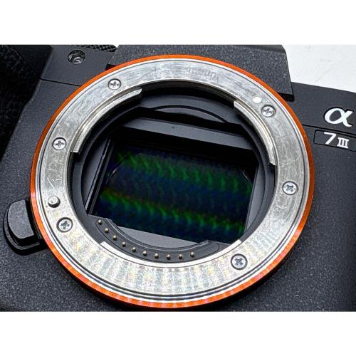 SONY (ソニー) ミラーレス一眼カメラ ILCE-7M3 α7III ボディ