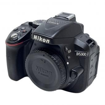 Nikon (ニコン) デジタル一眼レフカメラ D5300