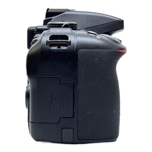 Nikon (ニコン) デジタル一眼レフカメラ D5300