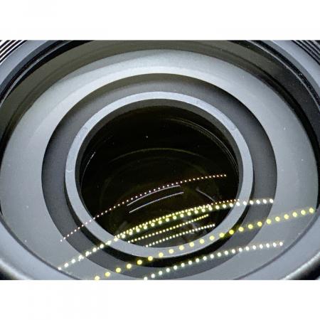 Nikon (ニコン) ズームレンズ AF-S DX NIKKOR 55-300mm f/4.5-5.6G ED
