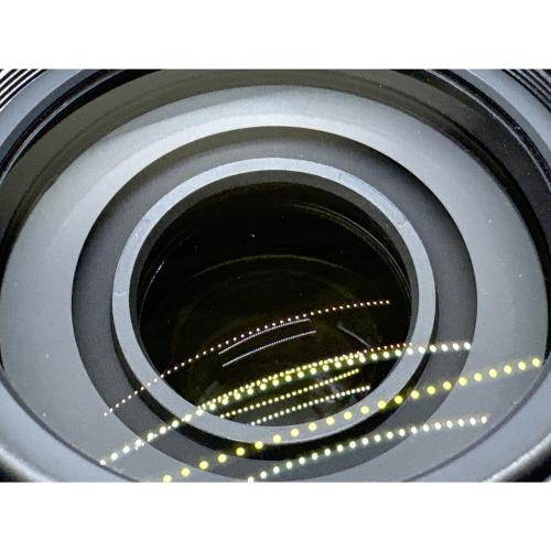 Nikon (ニコン) ズームレンズ AF-S DX NIKKOR 55-300mm f/4.5-5.6G ED VR