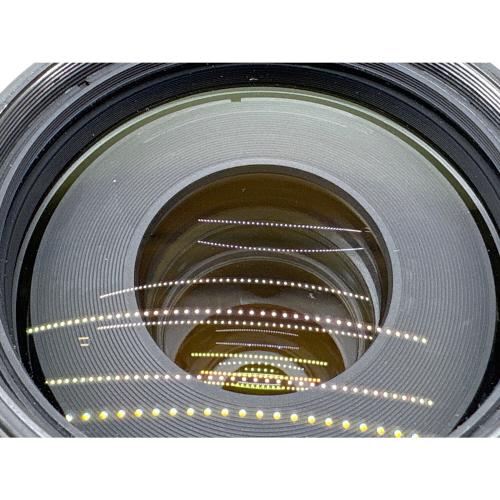 Nikon (ニコン) ズームレンズ AF-S NIKKOR 80-400mm f/4.5-5.6G ED VR