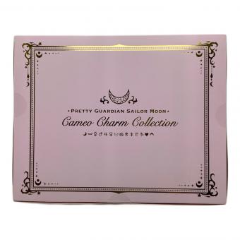 BANDAI (バンダイ) 美少女戦士セーラームーン カメオチャームコレクションセット ファンクラブ Pretty Guardians 会員限定グッズ 未使用