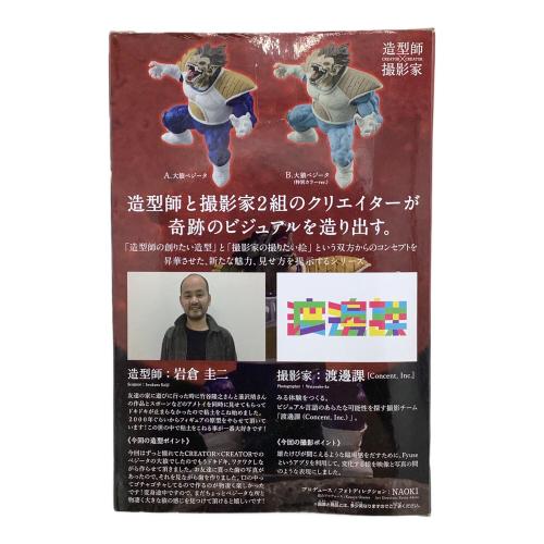 BANPRESTO (バンプレスト) フィギュア ドラゴンボールZ 造形師X撮影家 大猿ベジータ