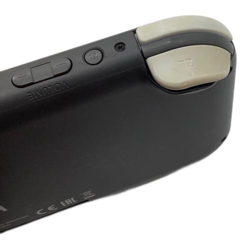 Nintendo (ニンテンドー) Nintendo Switch Lite HDH-001