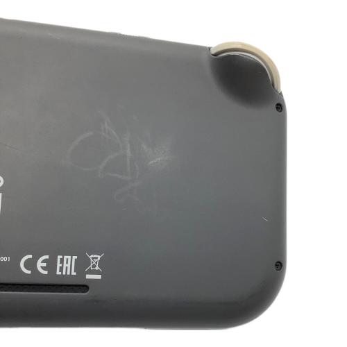 Nintendo (ニンテンドー) Nintendo Switch Lite HDH-001