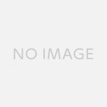 strymon (ストライモン) モジュレーションマシーン 箱・取説