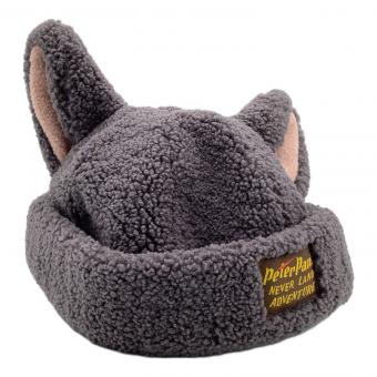 Disney RESORT (ディズニーリゾート)  ロストキッズ アライグマ