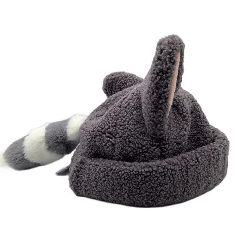 Disney RESORT (ディズニーリゾート)  ロストキッズ アライグマ