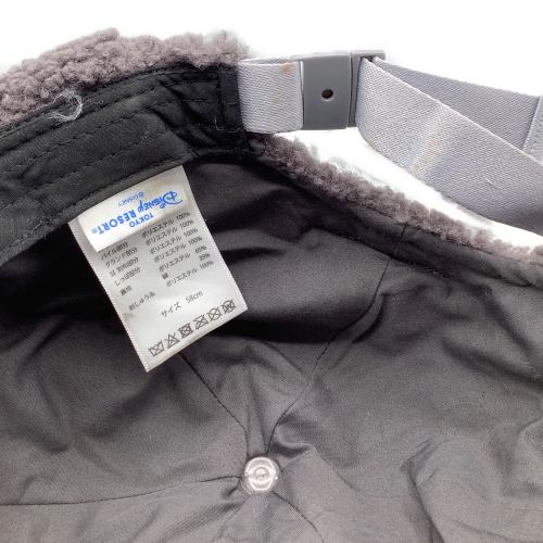 Disney RESORT (ディズニーリゾート)  ロストキッズ アライグマ