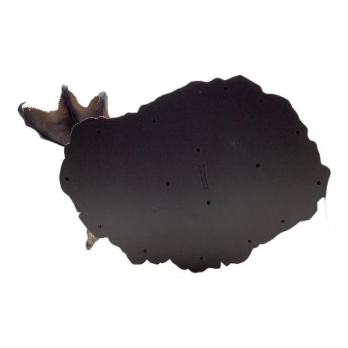 カプコン フィギュア カプコンフィギュアビルダー クリエイターズモデル 黒龍 ミラボレアス