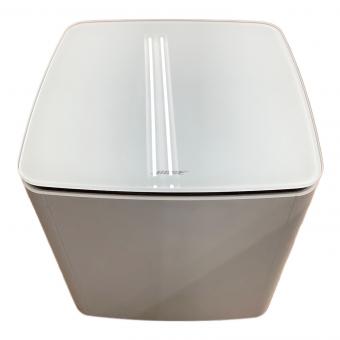 BOSE (ボーズ) サブウーファー  Acoustimass 300 / Bass Module 700