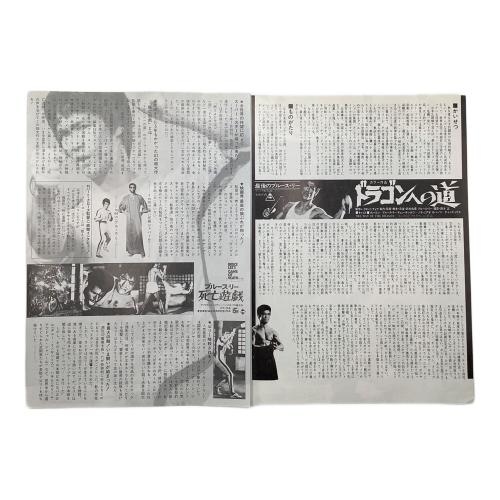 ブルースリー フライヤー10枚セット