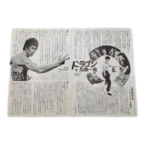 ブルースリー フライヤー10枚セット