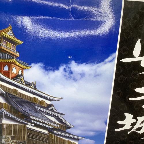 童友社 (ドウユウシャ) 1/360 安土城 「日本の名城 デラックス版」 プラモデル 建築物