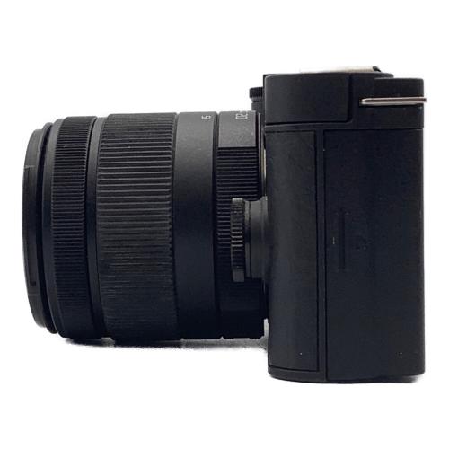 RICOH (リコー) ミラーレス一眼カメラ PENTAX Q-S1