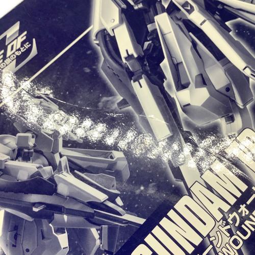 BANDAI (バンダイ) RX 124 GUNDAM TR-6 [EOUNDWORT] ガンプラ HG 1/144 ガンダム TR-6 [ウーンドウォート]