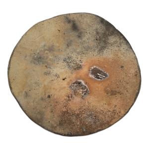 seya. (セヤ) プレート TAMBA PLATE