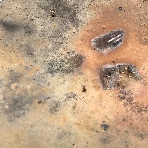 seya. (セヤ) プレート TAMBA PLATE