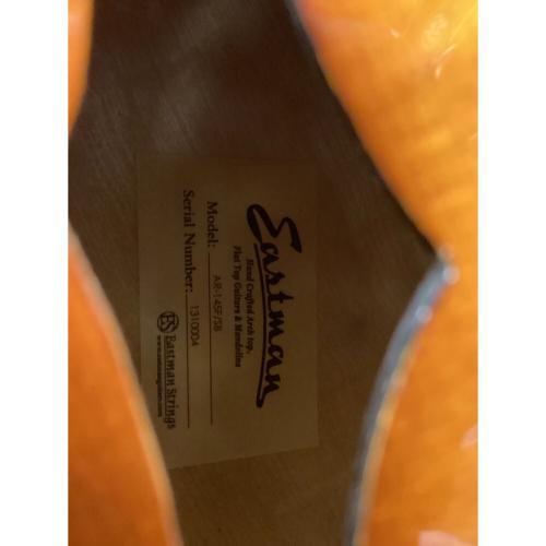 EASTMAN (イーストマン) フルアコギター AR-145F/SB USA製