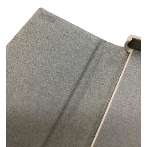 SONY (ソニー) WALKMAN NW-A55