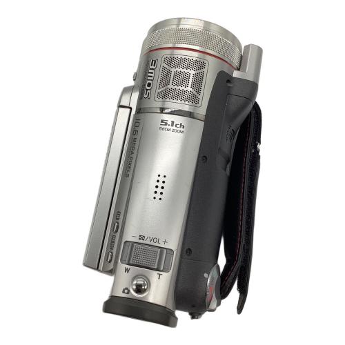 Panasonic (パナソニック) デジタルビデオカメラ HDC-TM300