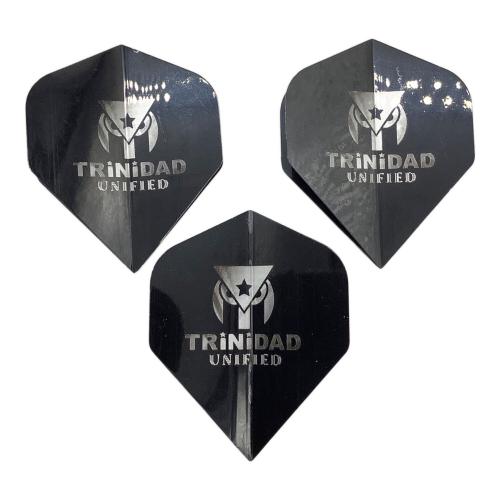 TRiNiDAD (トリニダード) ダーツ　RICARDO LAZY 浅田斉吾×松吉輝宗選手コラボ