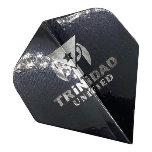 TRiNiDAD (トリニダード) ダーツ　RICARDO LAZY 浅田斉吾×松吉輝宗選手コラボ