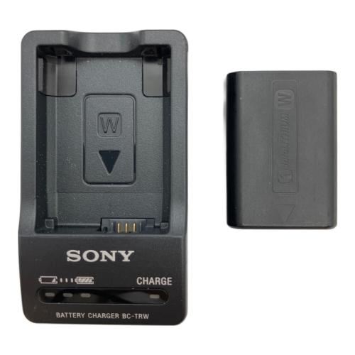 SONY (ソニー) ミラーレス一眼カメラ ILCE-5100 レンズSELP1650