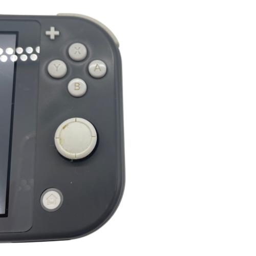 Nintendo (ニンテンドー) Nintendo Switch Lite HDH-001