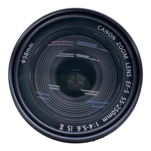 CANON (キヤノン) ズームレンズ EF-S55-250mm F4-5.6 IS STM