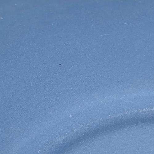 Wedgwood (ウェッジウッド) イヤートレイ SNAKE 2013 ジャスパー