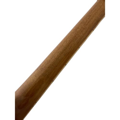 ASTURIAS (アストリアス) アコースティックギター SOLO HERRINGBONE SP（特注モデル）