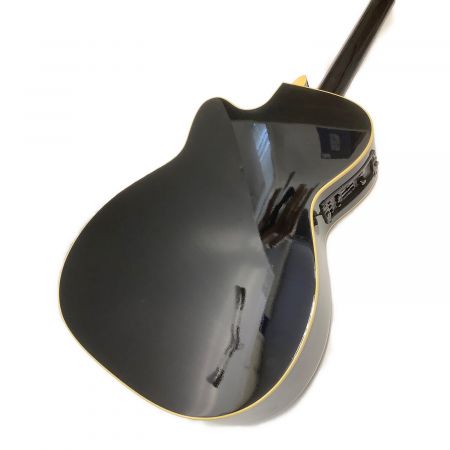 エレアコギター WY-2  2011年製