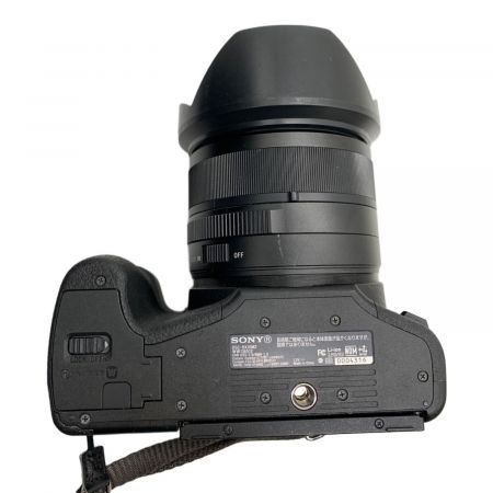 SONY (ソニー) デジタル一眼レフカメラ DSC-RX10M2｜トレファクONLINE