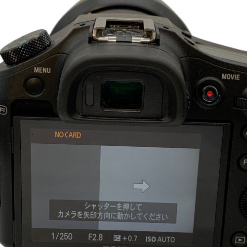 SONY (ソニー) デジタル一眼レフカメラ DSC-RX10M2