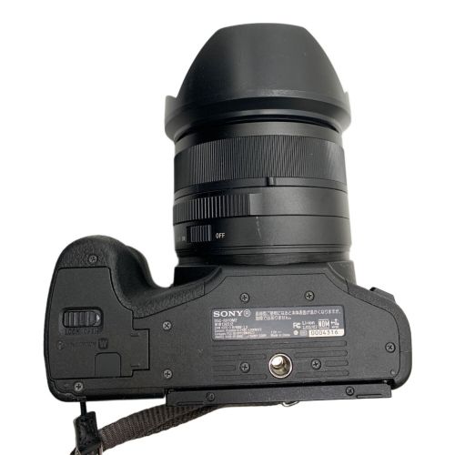 SONY (ソニー) デジタル一眼レフカメラ DSC-RX10M2