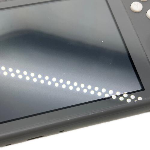 Nintendo (ニンテンドー) Nintendo Switch Lite HDH-001