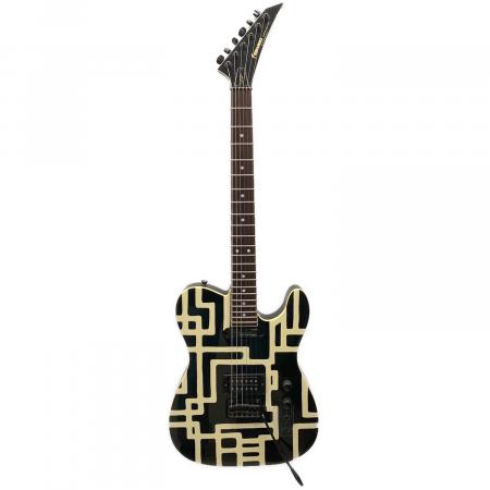 FERNANDES (フェルナンデス) TOMOYASU HOTEI エレキギター TE-120S HT