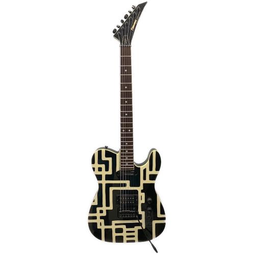FERNANDES (フェルナンデス) TOMOYASU HOTEI エレキギター TE-120S HT @