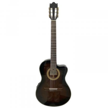 IBANEZ (アイバニーズ) 薄型エレガットギター GA37STCE-DVS-3R-03