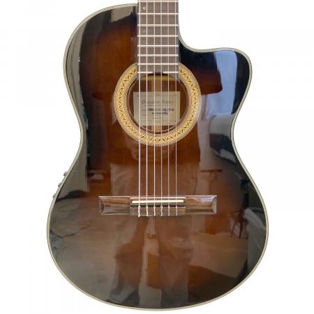 IBANEZ (アイバニーズ) 薄型エレガットギター GA37STCE-DVS-3R-03