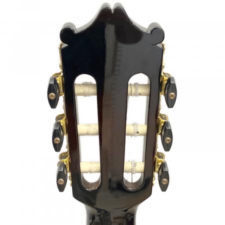 IBANEZ (アイバニーズ) 薄型エレガットギター GA37STCE-DVS-3R-03