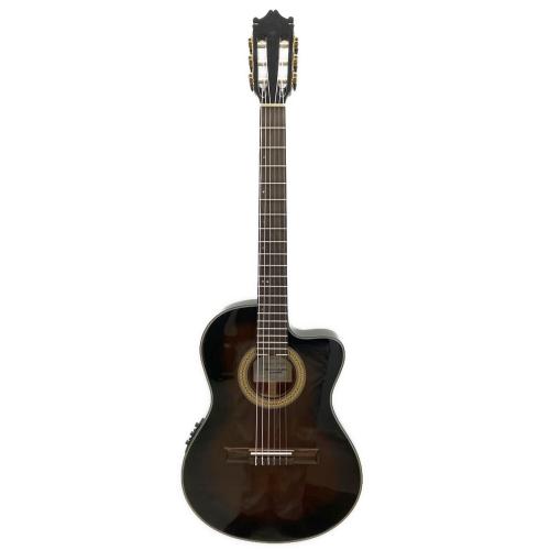 IBANEZ (アイバニーズ) 薄型エレガットギター GA37STCE-DVS-3R-03 @