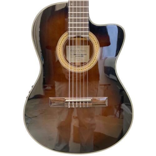 IBANEZ (アイバニーズ) 薄型エレガットギター GA37STCE-DVS-3R-03 @