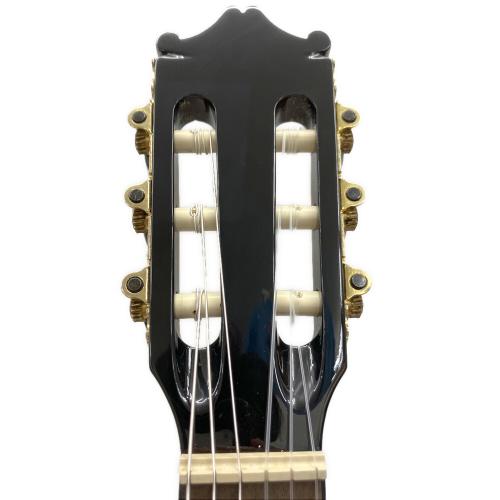 IBANEZ (アイバニーズ) 薄型エレガットギター GA37STCE-DVS-3R-03 @
