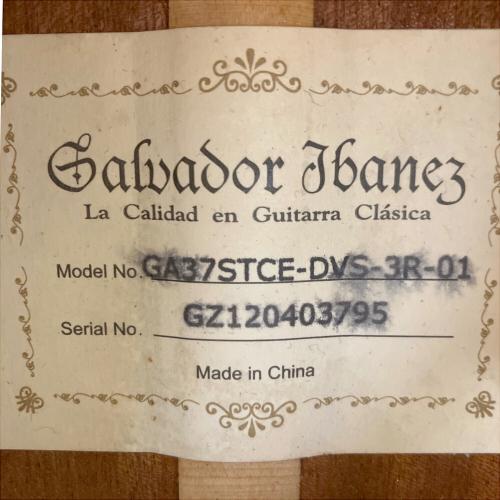 IBANEZ (アイバニーズ) 薄型エレガットギター GA37STCE-DVS-3R-03 @