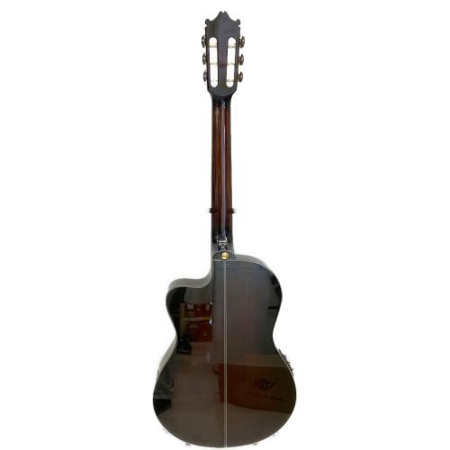IBANEZ (アイバニーズ) 薄型エレガットギター GA37STCE-DVS-3R-03 @