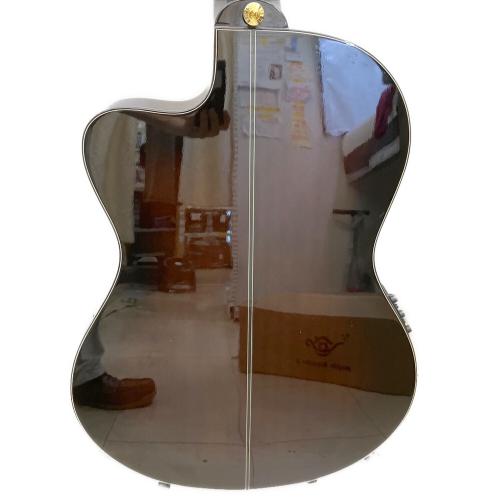 IBANEZ (アイバニーズ) 薄型エレガットギター GA37STCE-DVS-3R-03 @