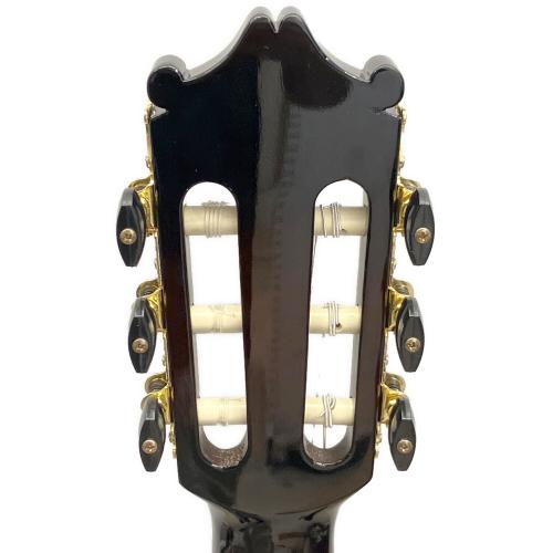 IBANEZ (アイバニーズ) 薄型エレガットギター GA37STCE-DVS-3R-03 @